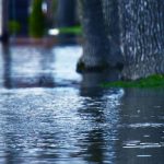 flood insurance claim success